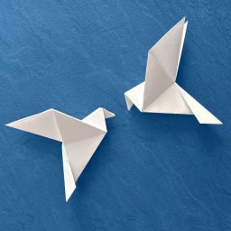 Let’s Mobil-ize for Peace