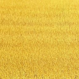 One square kilometre – Harvest