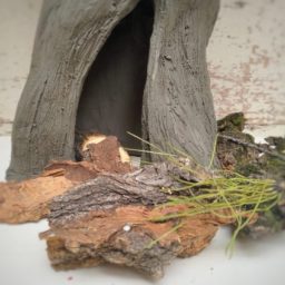 THE PRIMORDIAL MOTHER:A RITUAL OF PEACE