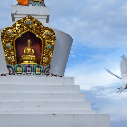 Where the sky meets the earth | Trip diary