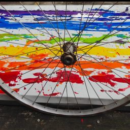 (bi)Cycles of life and peace