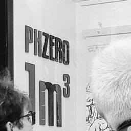 The Ashes of the American Flag