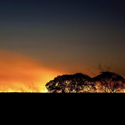 Victoria Thomen Open Studio