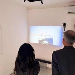 © RAW - Mariano Mazzelli